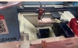 Hole punching stage